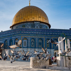 eSIM for Palestine/Israel